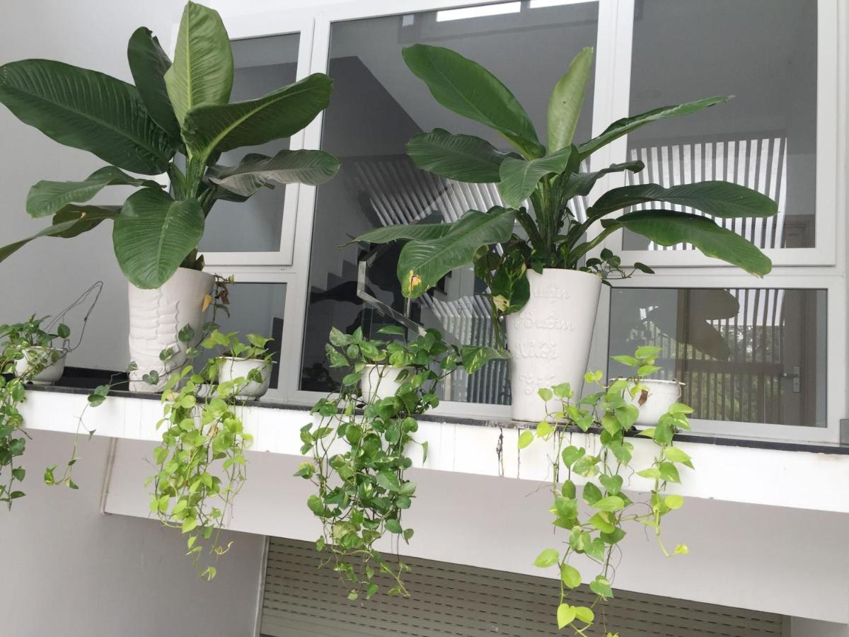 M-H Serviced Apartment Hô Chi Minh-Ville Extérieur photo